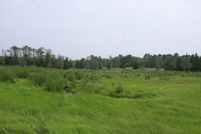 _MG_5412.jpg