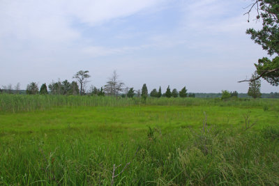_MG_5468.jpg