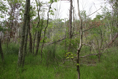 _MG_5592.jpg