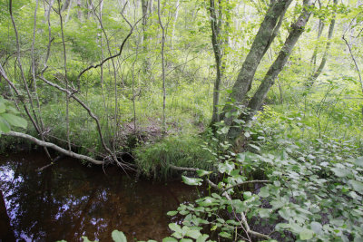 _MG_5613.jpg