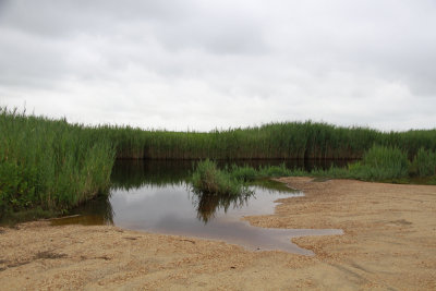 Mullica River