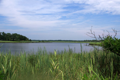 Nacote Creek