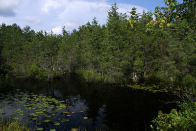 _MG_5887.jpg