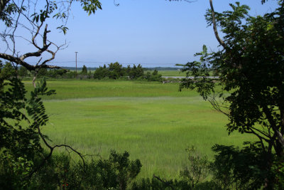 _MG_6314.jpg