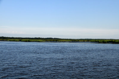 _MG_7111.jpg