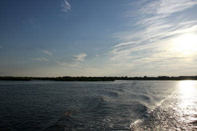 _MG_7117.jpg