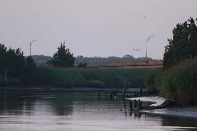 _MG_7177.jpg