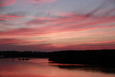 _MG_7256.jpg