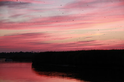 _MG_7266.jpg