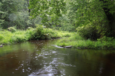 Assunpink Creek