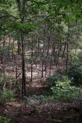 Maurice River Bluffs