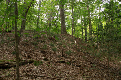 Maurice River Bluffs