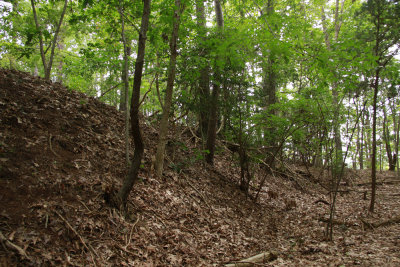 Maurice River Bluffs