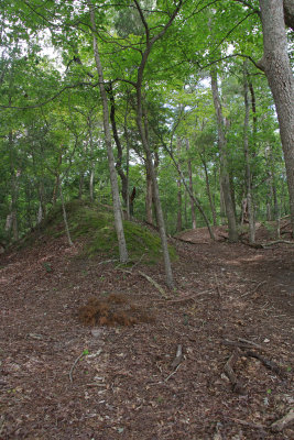 Maurice River Bluffs