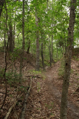 Maurice River Bluffs
