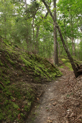 Maurice River Bluffs