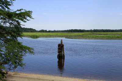 Maurice River 