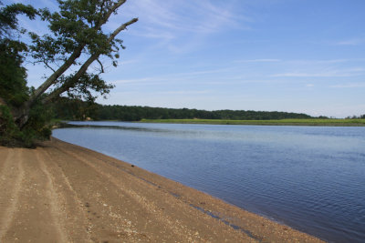 Maurice River 
