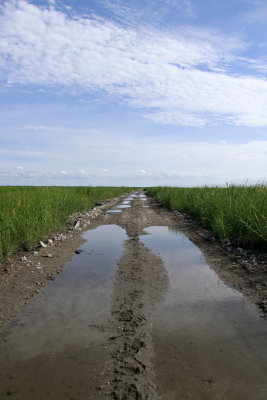 Thompson's Beach Rd.