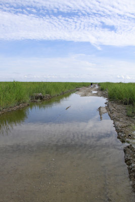 Thompson's Beach Rd. rising tide!