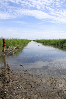 Thompson's Beach Rd. rising tide!
