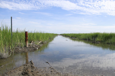 Thompson's Beach Rd. rising tide!