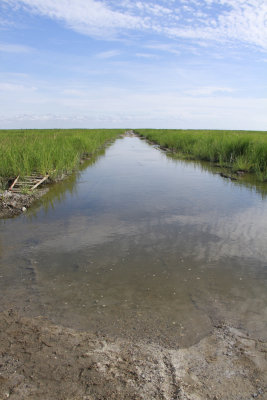 Thompson's Beach Rd. rising tide!