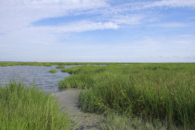 Thompson's Beach Rd. rising tide!