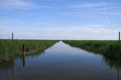Thompson's Beach Rd. at high tide