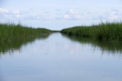 Thompson's Beach Rd. at high tide