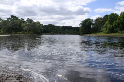 Maurice River rising tide!