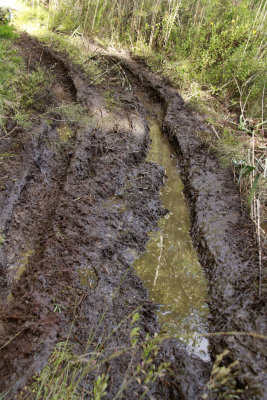 Ruts created by assholes
