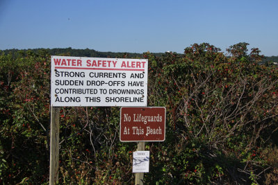 Plum Island, Sandy Hook