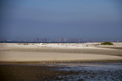 _MG_9259.jpg