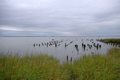 Delaware Bay