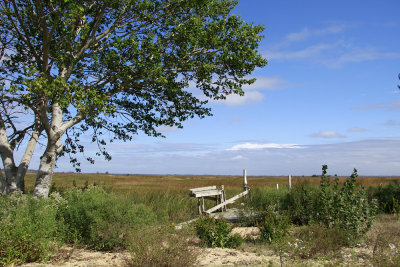 Seabreeze