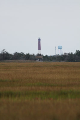 Barnegat Lighthouse