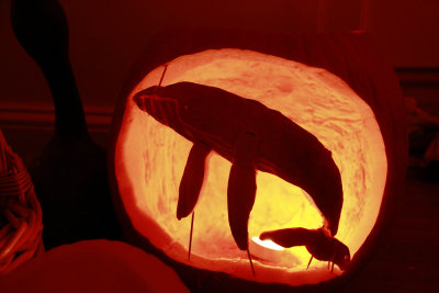 My sister's Humpback Whale jack 'o lantern