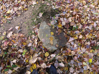 Foundation ruins?