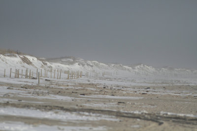 Frozen beach