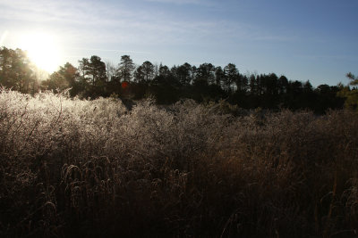 _MG_5909.jpg
