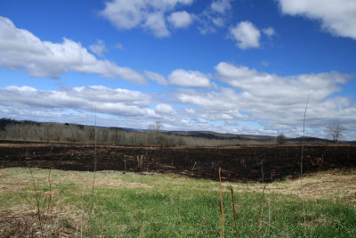 Walkill River NWR