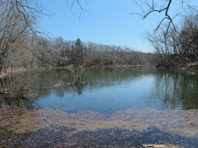 Limestone sinkhole pond