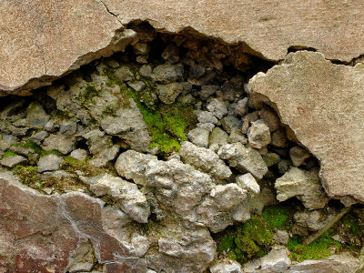 DSCF1055.jpg
