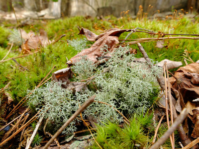 DSCF1060.jpg