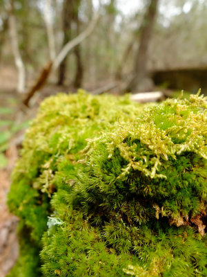 DSCF1062.jpg