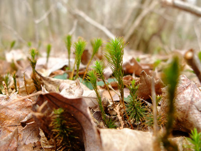 DSCF1067.jpg