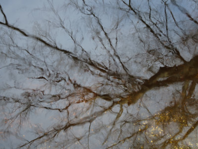 Rancocas reflections
