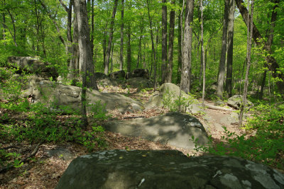 _MG_8454.jpg