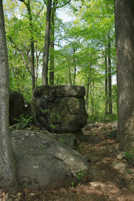 _MG_8455.jpg